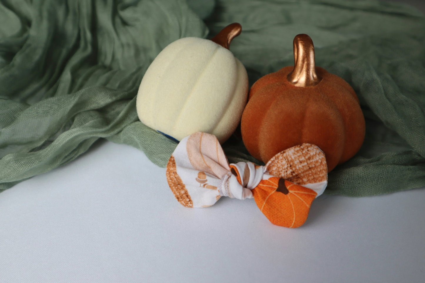 Pumpkin Patch & Autumn Pumpkins