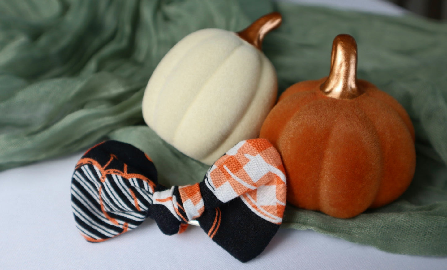 Pumpkin Patch & Autumn Pumpkins