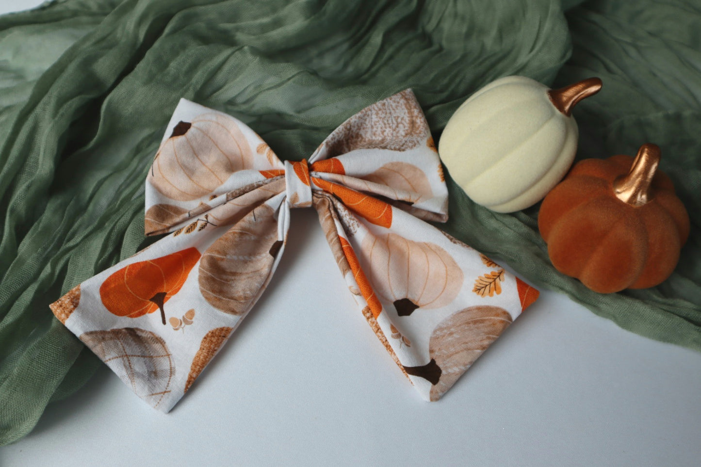 Pumpkin Patch & Autumn Pumpkins